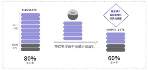 新環環保 污泥處置先進技術產品服務商，引領綠色環保新未來