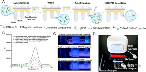 在家自己做核酸檢測 蕭山公司創(chuàng)新產(chǎn)品引領(lǐng)便捷檢測新潮流，計(jì)算機(jī)軟硬件協(xié)同實(shí)現(xiàn)1小時(shí)快速檢測