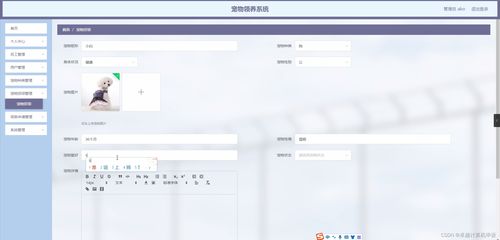 SpringBoot寵物領養系統23998計算機畢業設計 一個全棧軟硬件開發實踐
